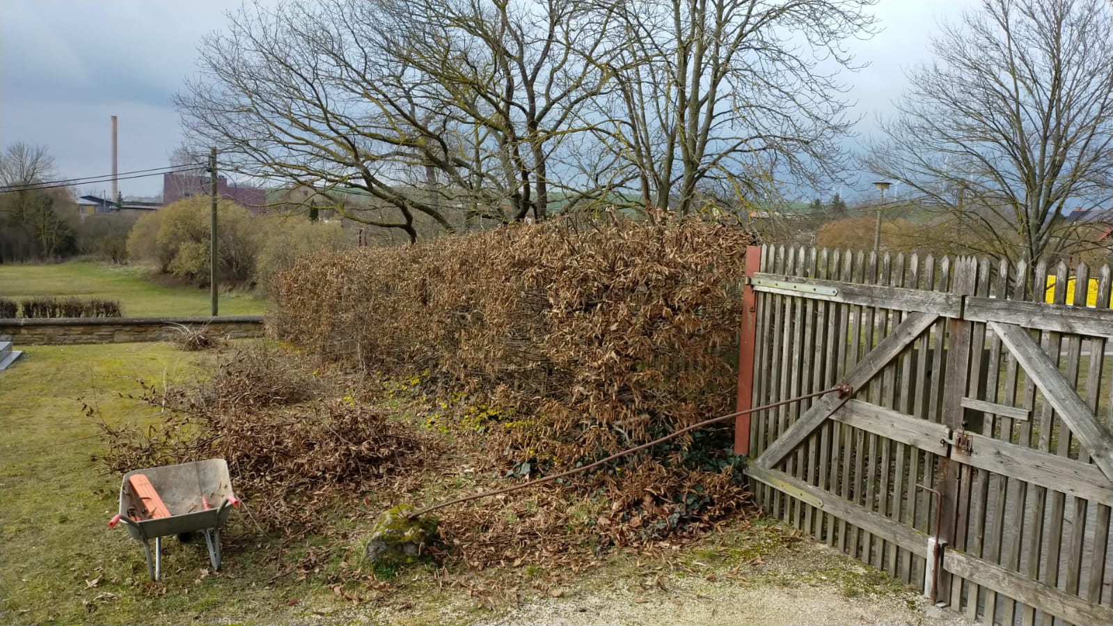./Heckenverschnitt_Friedhof_2025/WhatsApp Image 2025-02-28 at 15.03.04.jpeg